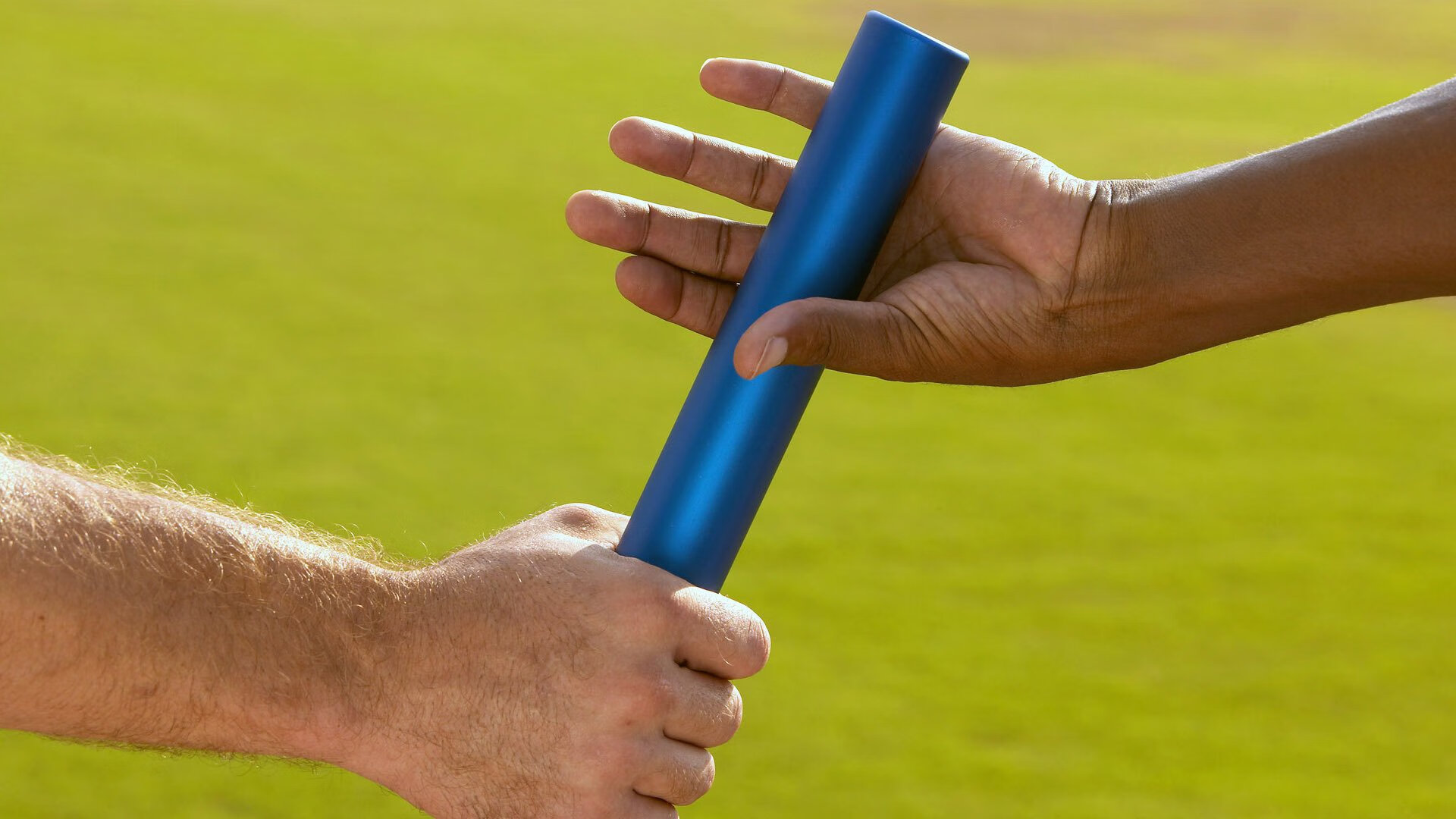 世界杯：草皮团队获颁特别嘉奖 场地条件获球员一致好评